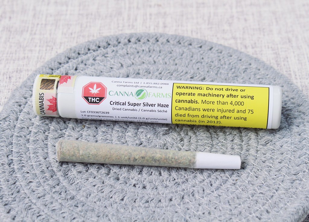Pre-rolled cannabis joints in a display case